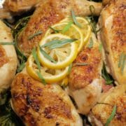 Geroosterde kip met dragon en citroen